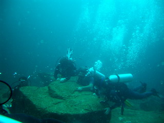 2004/11/12(金) - 2 Dive　No.113 - Sharks Fin Reef　[Similan]_a0002177_20382250.jpg