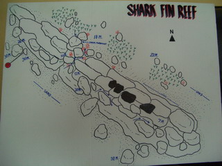 2004/11/12(金) - 2 Dive　No.113 - Sharks Fin Reef　[Similan]_a0002177_20462741.jpg