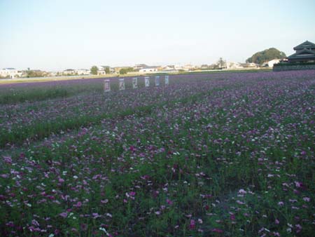 b0001286_2248841.jpg