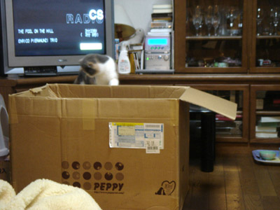 おくりもの_b0053645_81703.jpg