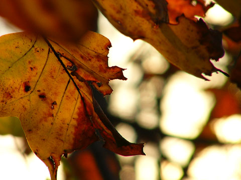 a0024250_11371.jpg