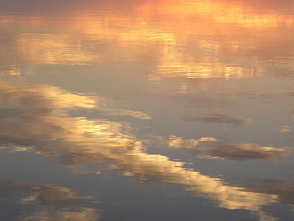 印旛沼の夕焼け[600*450]_a0034773_23234836.jpg