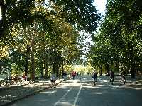 a0027277_1048858.jpg
