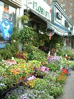 a0027277_92715.jpg