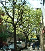 a0027277_9383194.jpg