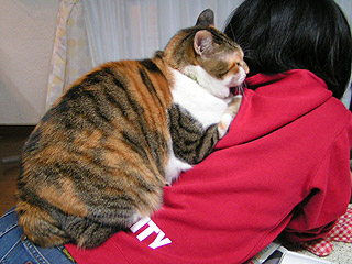 背乗りねこ_a0028451_1520219.jpg