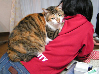 背乗りねこ_a0028451_15203077.jpg