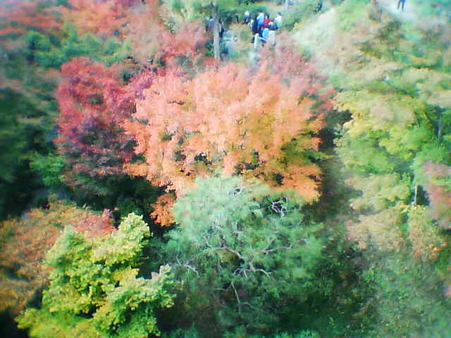 東福寺（その２）_b0025633_20524499.jpg