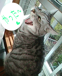 b0001286_12283981.gif