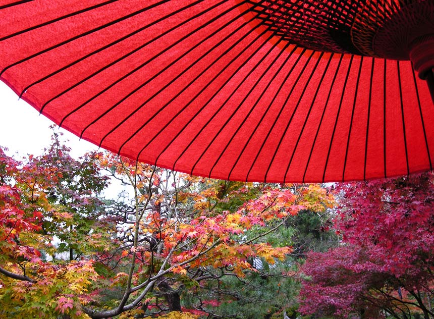 禅林寺：真っ赤な日傘と_a0031821_107167.jpg