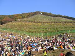 Harvest Festival（足利ココ・ファーム・ワイナリー）。_a0007229_2081946.jpg