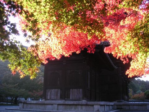 南禅寺山門横の紅葉　★★★_a0002658_22531266.jpg