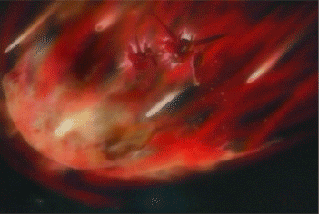a0008459_2164542.gif
