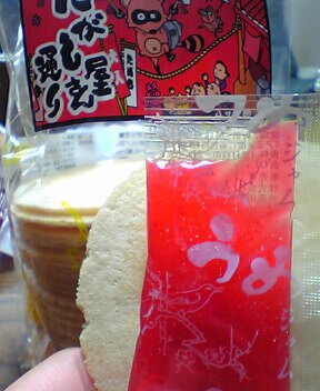 対決列島第六夜 関東大会 水曜どうでしょうをよろしく Ex