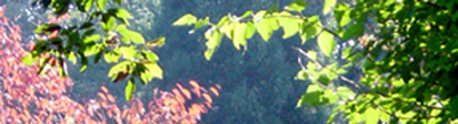 b0059686_04318.jpg