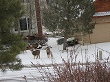 b0034565_45125.jpg