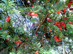 a0002273_02462.jpg