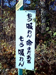 a0002273_0393592.jpg
