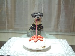 Happy Birthday Clair☆_b0069978_845066.jpg