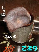 b0016983_9171939.jpg