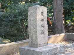 b0009849_17594090.jpg