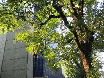 b0009849_10345643.jpg