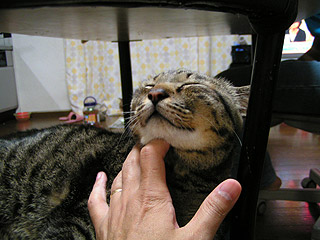 幸せな瞬間_a0028451_13221913.jpg