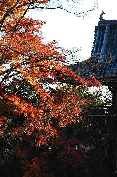 京都西山善峯寺１_a0003493_15131844.jpg