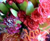 b0007895_21275543.jpg