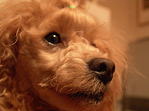 a0016311_21342617.jpg