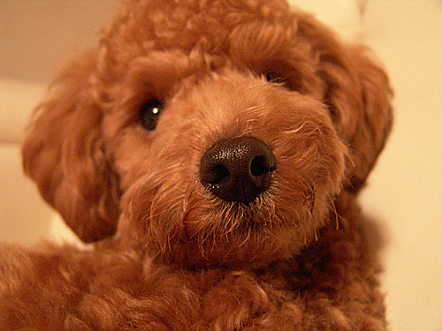 a0016311_21395826.jpg