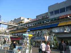 b0009849_1759161.jpg