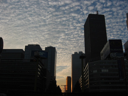 c0000587_2525186.jpg