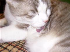 b0052192_13233684.jpg