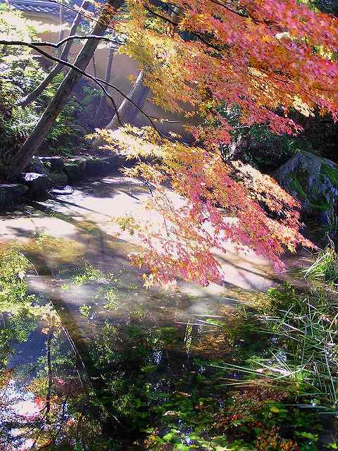 東福寺・即宗院_a0015497_18595991.jpg