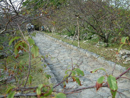 「沖縄3 今帰仁城跡」_a0000029_9315660.jpg
