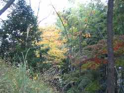 b0009849_19485929.jpg