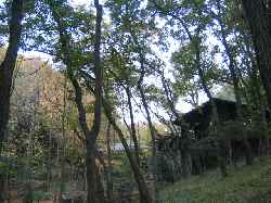 b0009849_19492167.jpg