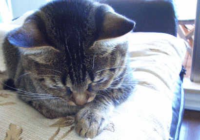a0014810_1444840.gif