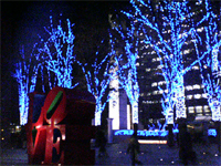 a0006744_1051279.jpg