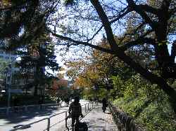 b0009849_2048738.jpg