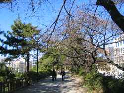 b0009849_2161427.jpg