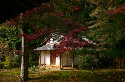 山寺_a0025948_885485.jpg