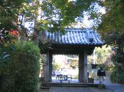 b0009849_21461577.jpg