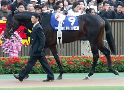 日本馬強し！ジャパンCは、ゼンノロブロイが圧勝でGI連覇_b0015386_2204572.jpg