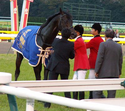 日本馬強し！ジャパンCは、ゼンノロブロイが圧勝でGI連覇_b0015386_2205795.jpg