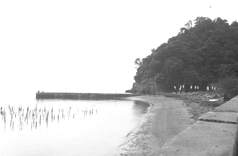 Yokohama History 番外編 富岡の歴史 おひさまポカポカ