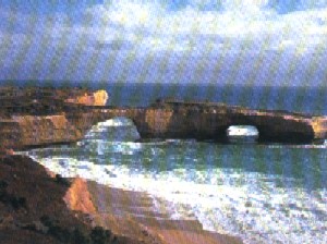 b0024435_21514438.jpg