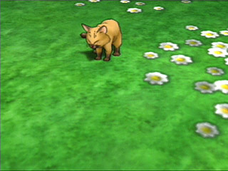 DQ8の猫さん_a0028451_116690.jpg
