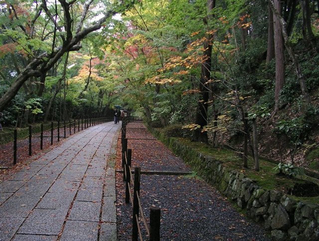 雨の京都_b0014856_2343796.jpg